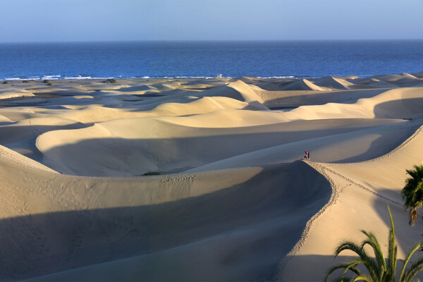dunas-de-maspalomas-gran-canaria dunas-de-maspalomas-gran-canaria